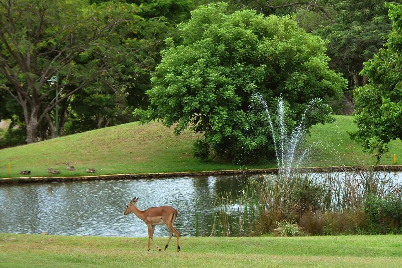 Kruger Park Lodge Unit No. 243 Hazyview Εξωτερικό φωτογραφία